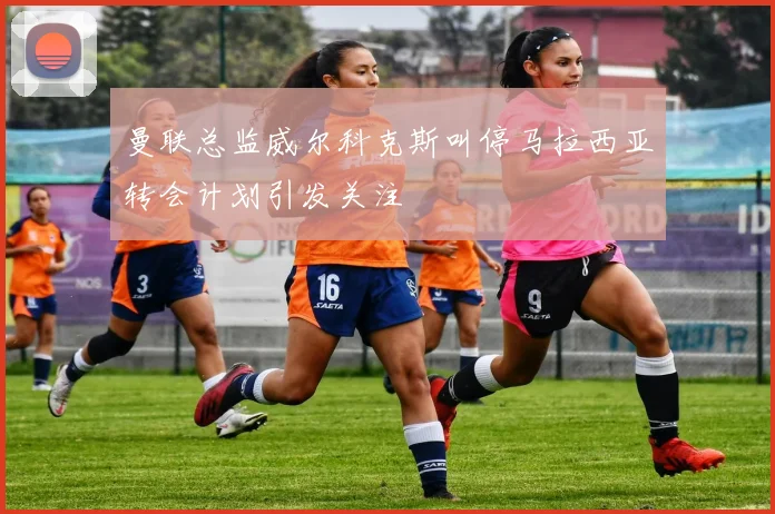 曼联总监威尔科克斯叫停马拉西亚转会计划引发关注