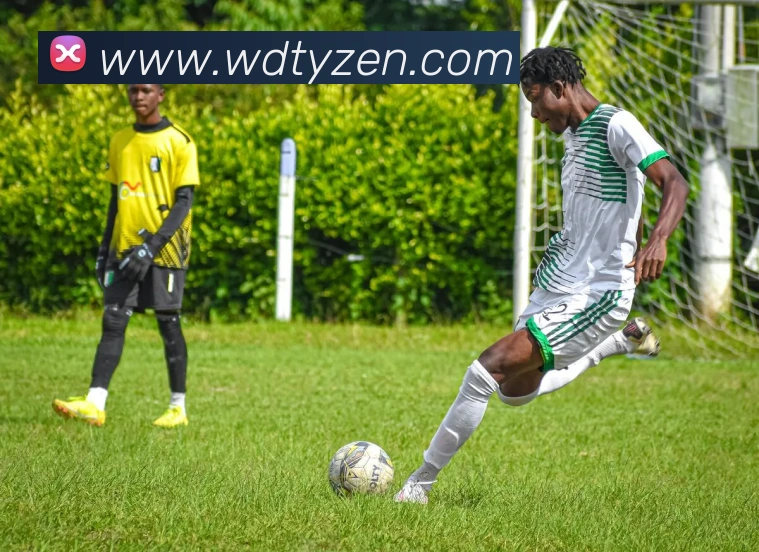 韦德体育品牌故事